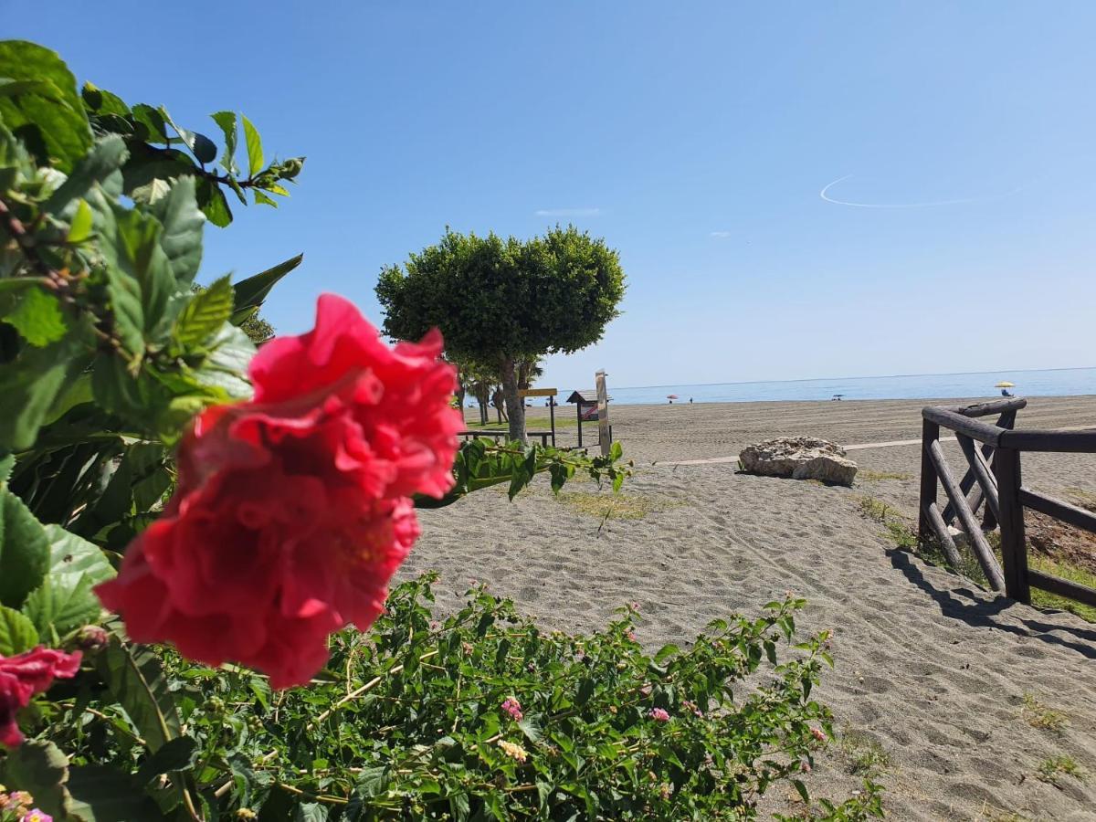 Naturaleza, playa, piscina, mar, montaña, wifi, parking Málaga Exterior foto